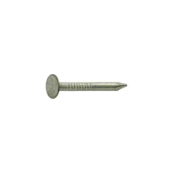 Grip-Rite Roofing Nail, 2-1/2 in L, 8D, Steel, Hot Dipped Galvanized Finish, 11 ga 212HGRFG1